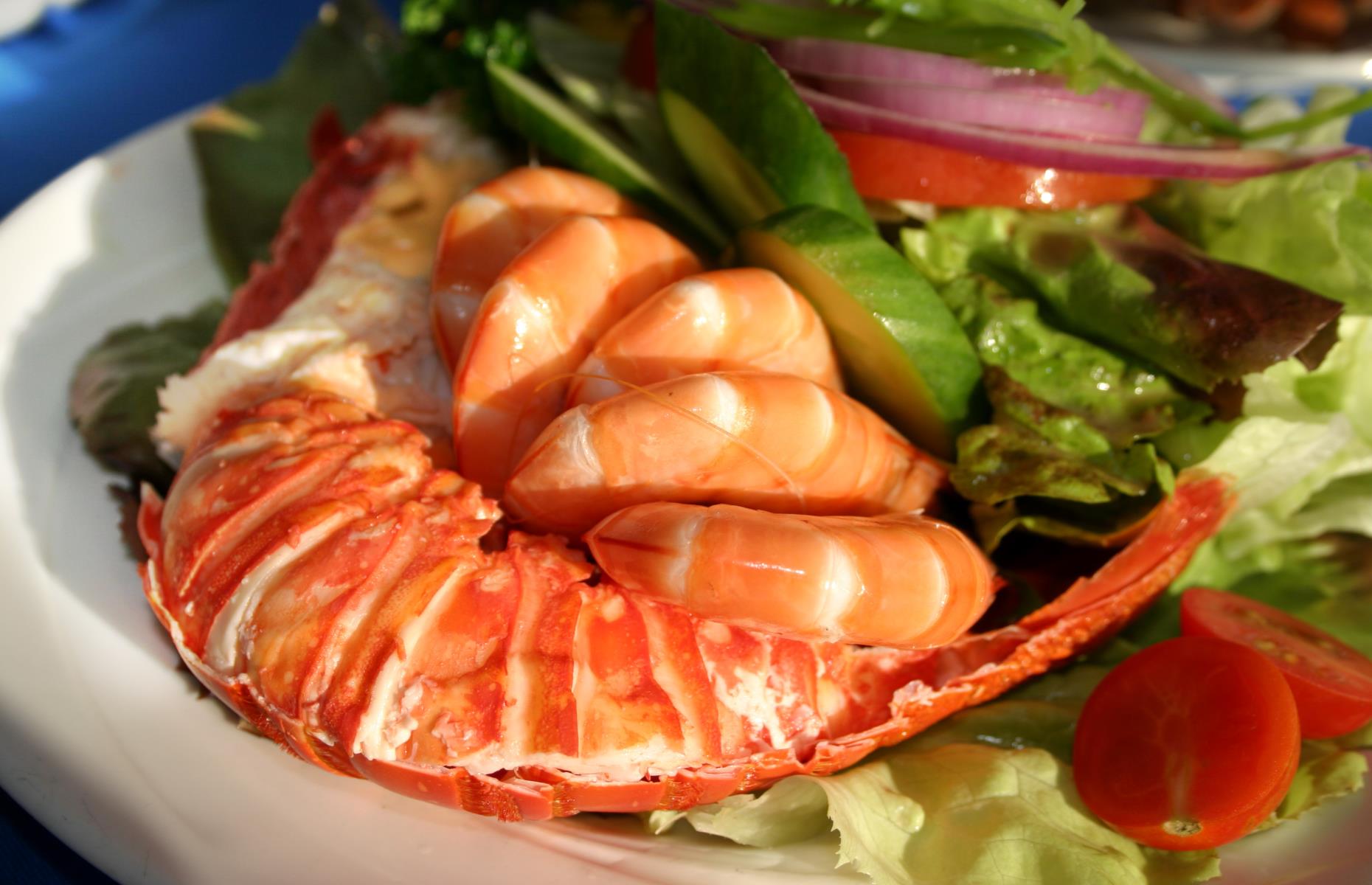 Shrimp and Lobster